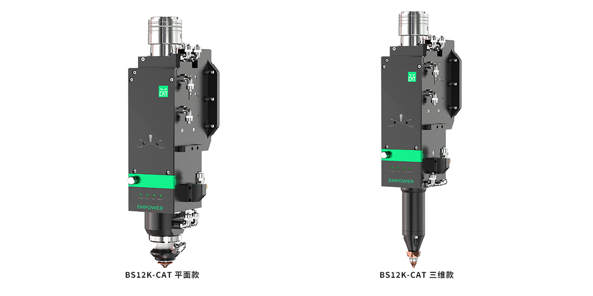 BS12cat.jpg